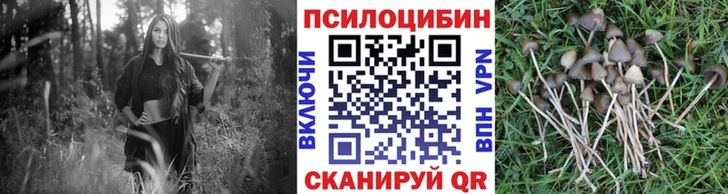 Галлюциногенные грибы ЛСД  купить наркоту  Комсомольск-на-Амуре 